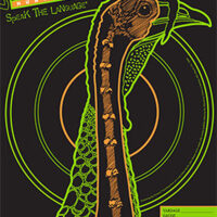 Primos 6042 VisiShot Turkey Hanging Paper Shotgun Multi-Color Impact Enhancement 10 Pack