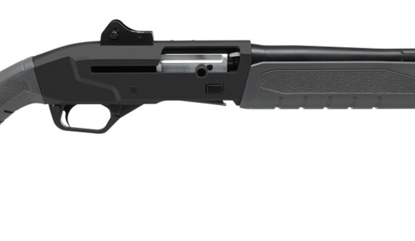 SAV RENEGAUGE SEC SA 12M/18MC