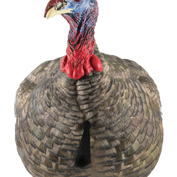 Avian X AVXAVX8003 LCD Quarter-Strut Jake Turkey Species Multi Color Dura-Rubber