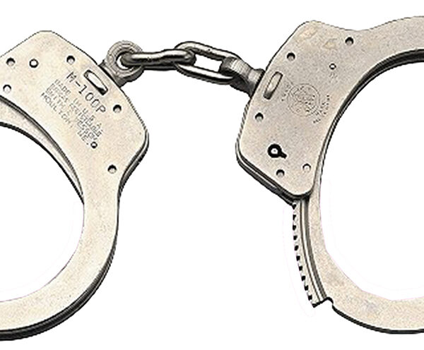 Smith & Wesson 350135 100P  Push Pin Stainless Steel