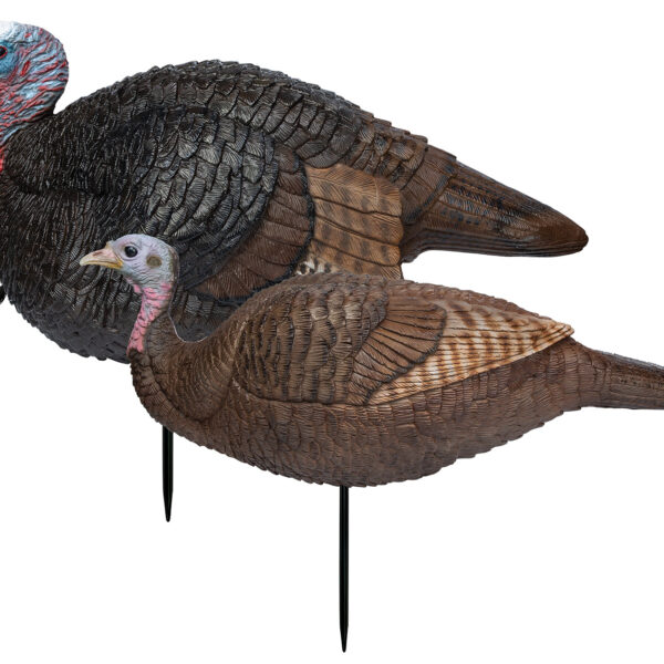 Primos 69075 Lil' Gobblestopper Jake & Hen Combo Turkey Species Multi Color