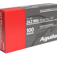 Aguila 8047AG 243Win 100gr InterLock Boat Tail Soft Point 20 Per Box/10 Case