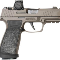 Sig Sauer 365AXGCA9LEGIONRXX P365 AXG Legion ROMEO-X 9mm 17+1 3.10" Compact Frame Legion Gray Cerakote Stainless Steel Slide G-10 Grip