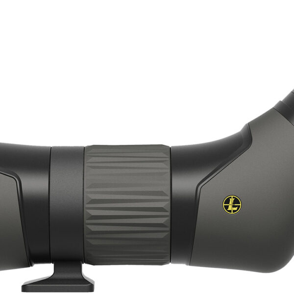 Leupold 185683 SX-2 Alpine HD Angled Body 20-60x 60mm Black