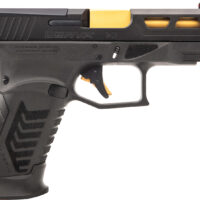 Derya Firearms DY9GUS DY9 9mm Luger 15+1 4.02" Gold TiN Steel Barrel, Black Nitride Optics Ready/Serrated Alloy Steel Slide, Black Polymer Frame w/Accessory Rail, Black Interchangeable Backstrap Grip