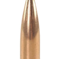 Speer 4725 TNT 30Cal 125gr Jacketed Hollow Point 500 Per Box/1 Case