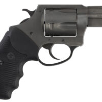 CHARTER ARMS CHARTER PITBULL 40SW NIT 2" FS