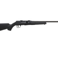 SAV A17 HVY BBL 17HMR SA 10RD
