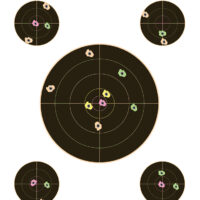 Champion Targets 45827 VisiColor Self-Adhesive Paper Multi-Color 5" Bullseye 10 Pack