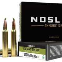 Nosler 40038 E-Tip 300WinMag 180gr E Tip Lead Free 20 Per Box/10 Case