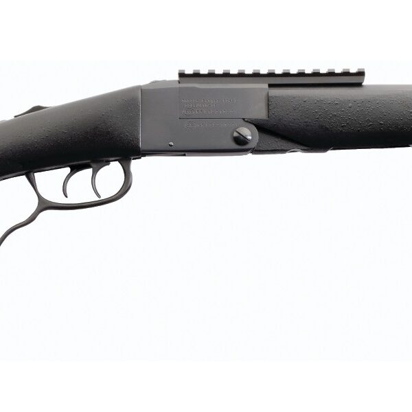 Chiappa Firearms 500260 Double Badger  22 LR 410 Gauge 1+1 19" Black Steel Barrel, Blued Picatinny Rail, Fixed Black Textured Synthetic Stock