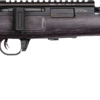 WAI HAM FRC B1 22LR GRY 10RD