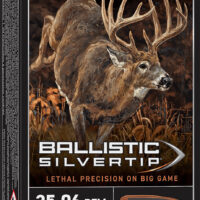 Winchester Ammo SBST2506A Ballistic Silvertip 25-06Rem 85gr Fragmenting Polymer Tip 20 Per Box/10 Case