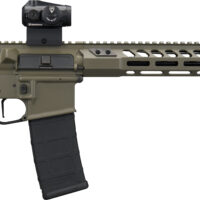 SIG M400 FRG RFL 5.56 30R GRN