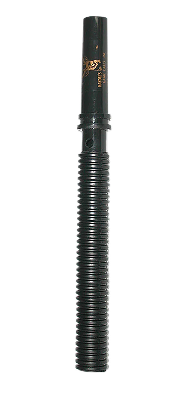 81065.jpg