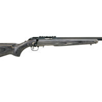 RUG AM RFL RF TGT 17HMR 9RD
