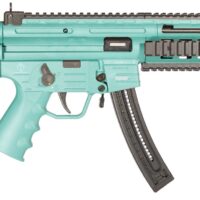 ATA GSG-16 CARB 22LR 22RD MINT