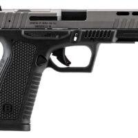 BERSA BP9 FULL SIZE 9MM DUOTONE 17+1