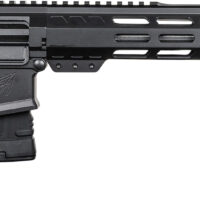 GLF GL10 308 RFL 18SS 10R ABLK