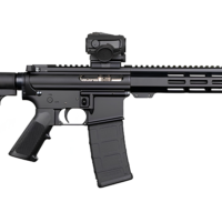 DPMS SHORTACLE 300BLK PISTOL 10.5" BBL, 9.5" MLOK RAIL, CAR15 BRACE 1-30RD MAG W/ VORTX SPARC