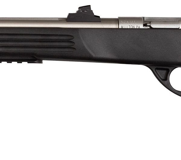 KEYSTONE SPORTING ARMS CRICKETT PISTOL 22LR SS/BLK TB