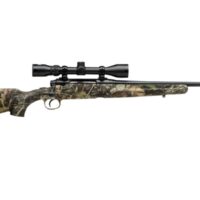 SAVAGE ARMS AXIS 243WIN CPCT MONBU PKG #