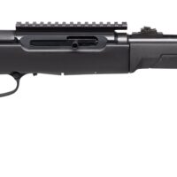 SAVAGE ARMS A22 TAKEDOWN 22LR BL/SY 10+1